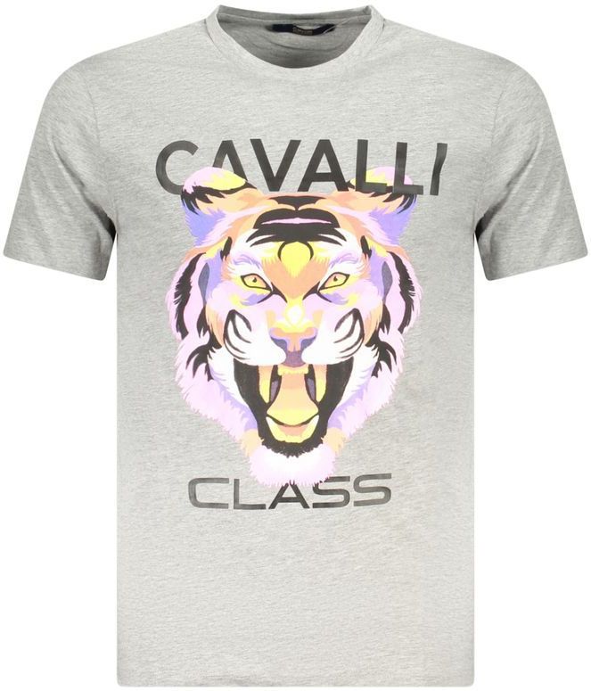 Tijger Grafisch T-shirt