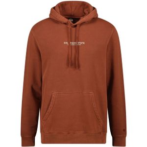 America Today Hoodie stone hood