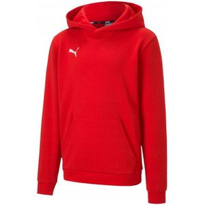 Puma - Teamgoal 23 - Hoodie - Sneldrogend - Zwart