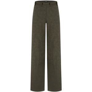 Lady Day Phoenix brushed