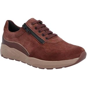 Torfs be Solidus schoenen goedkoop kopen Ruime keuze beslist.be