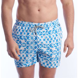 Heren Geprinte Zwemshorts HS24MSW05