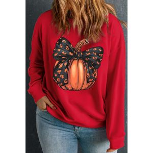 Plus Size Ronde Hals Trui