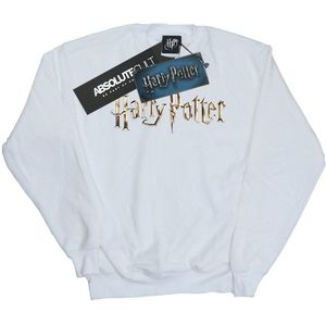 Li-cense Harry potter sweatshirt met logo voor heren