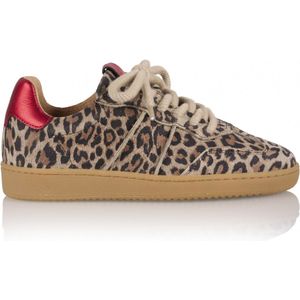 DWRS Label Poona leopard /red