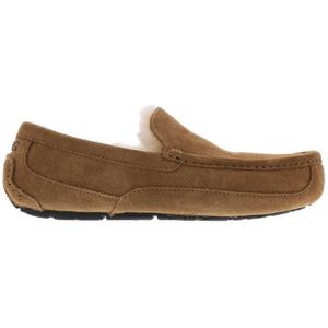 UGG Australia Heren ascot