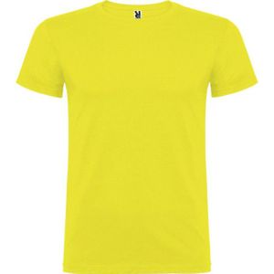 Roly Kinder/kinder beagle t-shirt met korte mouwen