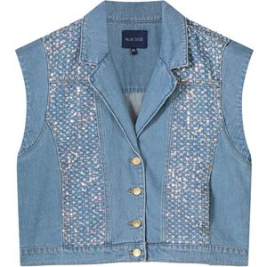 Summum Gilet 9s118-5162