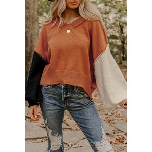 Kleurblok V-hals Lange Mouwen Trui