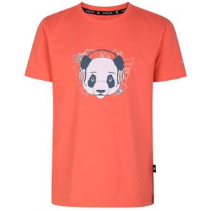 Dare2b Kinderen/kinderen trailblazer grafisch t-shirt