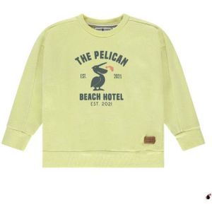 Stains & Stories  Ssa25207427