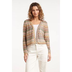 Smashed Lemon - 35068 - Vest - Zigzag Print - Korte Mouwen