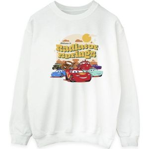 Li-cense Disney heren cars radiator springs groep sweatshirt