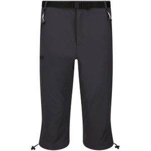 Regatta - Xert Stretch III - Korte Broeken - Actief