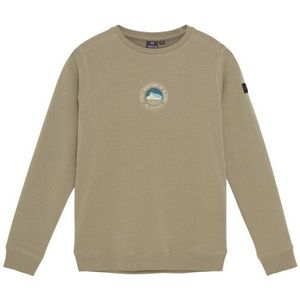 Indian Blue Jeans - Sweater Chest Ib - Hoodie - Beige