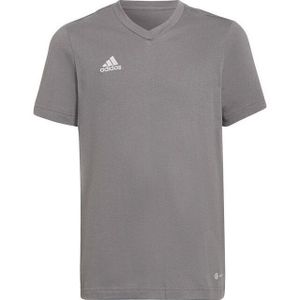Adidas - Entrada 22 - T-shirt - Katoen