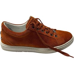 Jimmy Choo Cash Sneakers in Bruin Suède