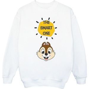 Li-cense Disney heren knabbel en babbel de slimme sweatshirt