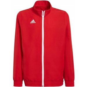 Adidas - Entrada 22 - Presentatiejasje - 100% Polyester - Vochtafvoerend