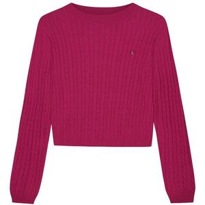 Fabienne Chapot - Charlotta Pullover - Fuchsia - Dames - Vest