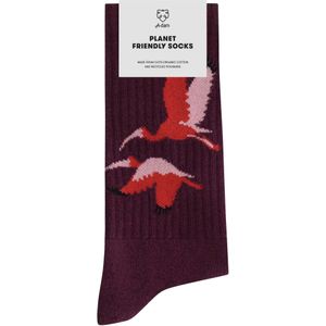 A-dam Sport socks red birds