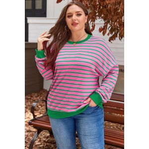 Gestreepte Wafelbrei Pullover Trui