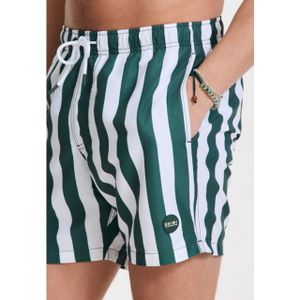 Shiwi 1441100200 broad stripe 7835 green leaf stripe swim short