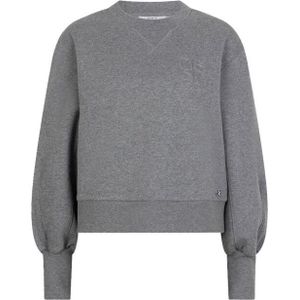 Dante 6, Dames, Sweatshirts & Hoodies, Grijs, Maat: XS Katoen,