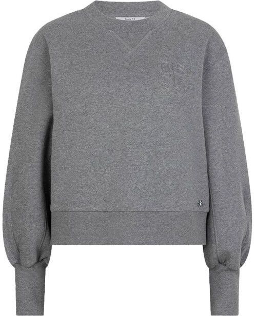Dante 6, Dames, Sweatshirts & Hoodies, Grijs, Maat: XS Katoen,