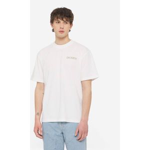 Dickies T-shirt korte mouw dk0a4yr5