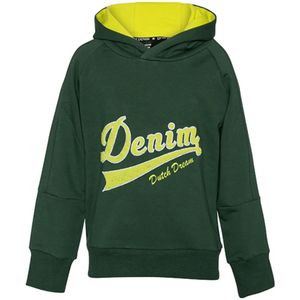 Dutch Dream Denim Jongens hoodie dume