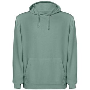 Roly Volwassen unisex kenia hoodie