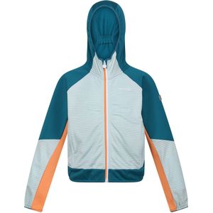 Regatta Kinder/kids prenton ii hooded soft shell jacket