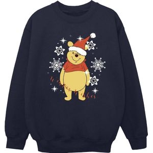 Li-cense Disney dames winnie the pooh winter wishes sweatshirt