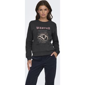 Jacqueline de Yong Jdyparis l/s emb sweat jrs