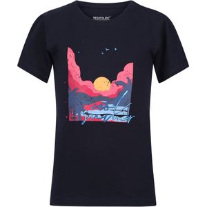 Regatta Kinderen/kinderen bosley vi sunset t-shirt