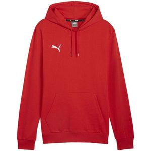Puma - Heren Team Goal Casual Hoodie