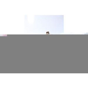 Birkenstock Uppsala zip enkellaars