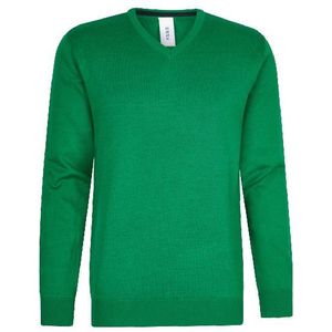 Hønk Pullover met v-hals