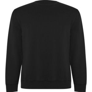 Roly Unisex adult batian sweatshirt met ronde hals