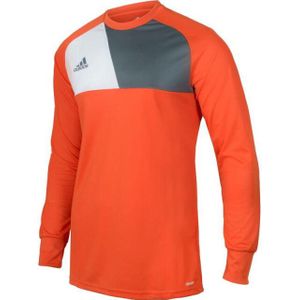 Adidas Assita 17 Keeperstrui - Blauw - 100% Polyester - Crew Neck, Lange Mouwen