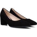 Gabor - Dames Pumps - Grijs - Leer - Puntige Neus - Stilettohak