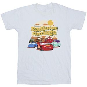 Li-cense Disney heren cars radiator springs groep t-shirt