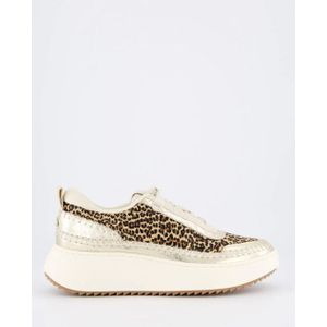 Steve Madden Dames doubletake sneaker glam/leo