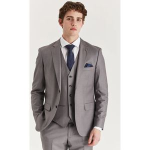 Heren - Grijs - Blazer - Formeel - Getailleerd Colbert