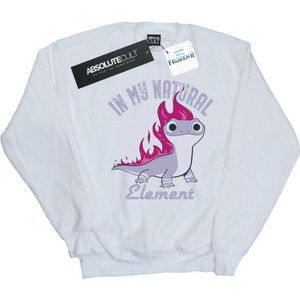 Li-cense Disney heren frozen 2 salamander bruni element sweatshirt