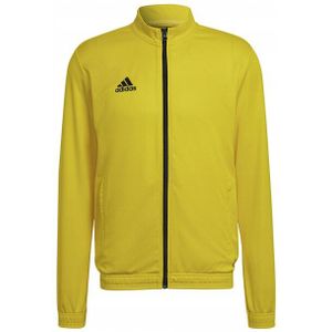 Adidas - Entrada 22 - Track Jacket - Effen - Heren