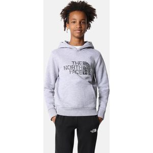 The North Face - Kids Drew Peak - Hoodie - Grijs