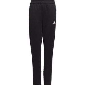 Adidas - Primegreen - Joggingbroek - Aeroready - Katoen en Polyester