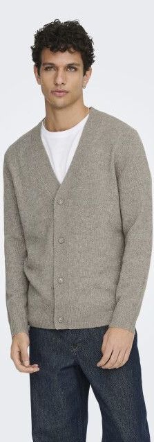 ONLY & SONS Vest Ray